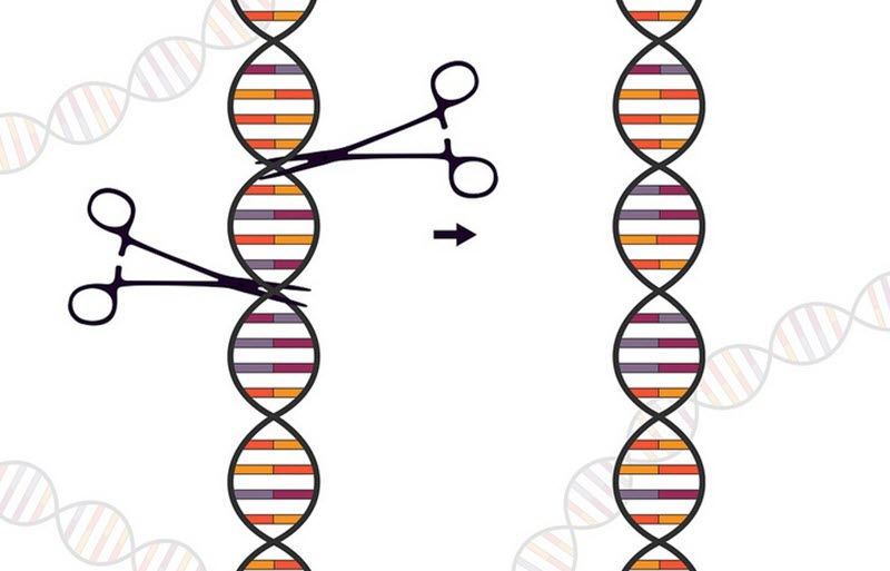 CRISPR