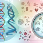 How DNA affects susceptibility to diseases.