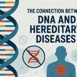The connection between DNA and hereditary diseases.