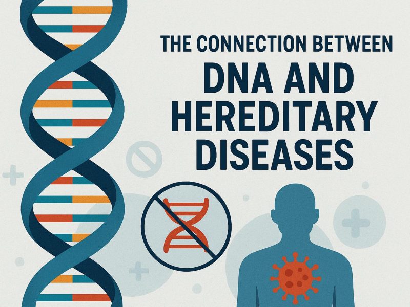 The connection between DNA and hereditary diseases.