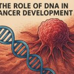 The role of DNA in cancer development.