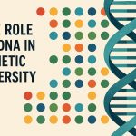 The role of DNA in genetic diversity.