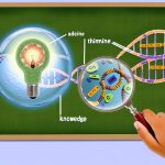 The role of DNA in genetics.