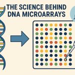 The science behind DNA microarrays.