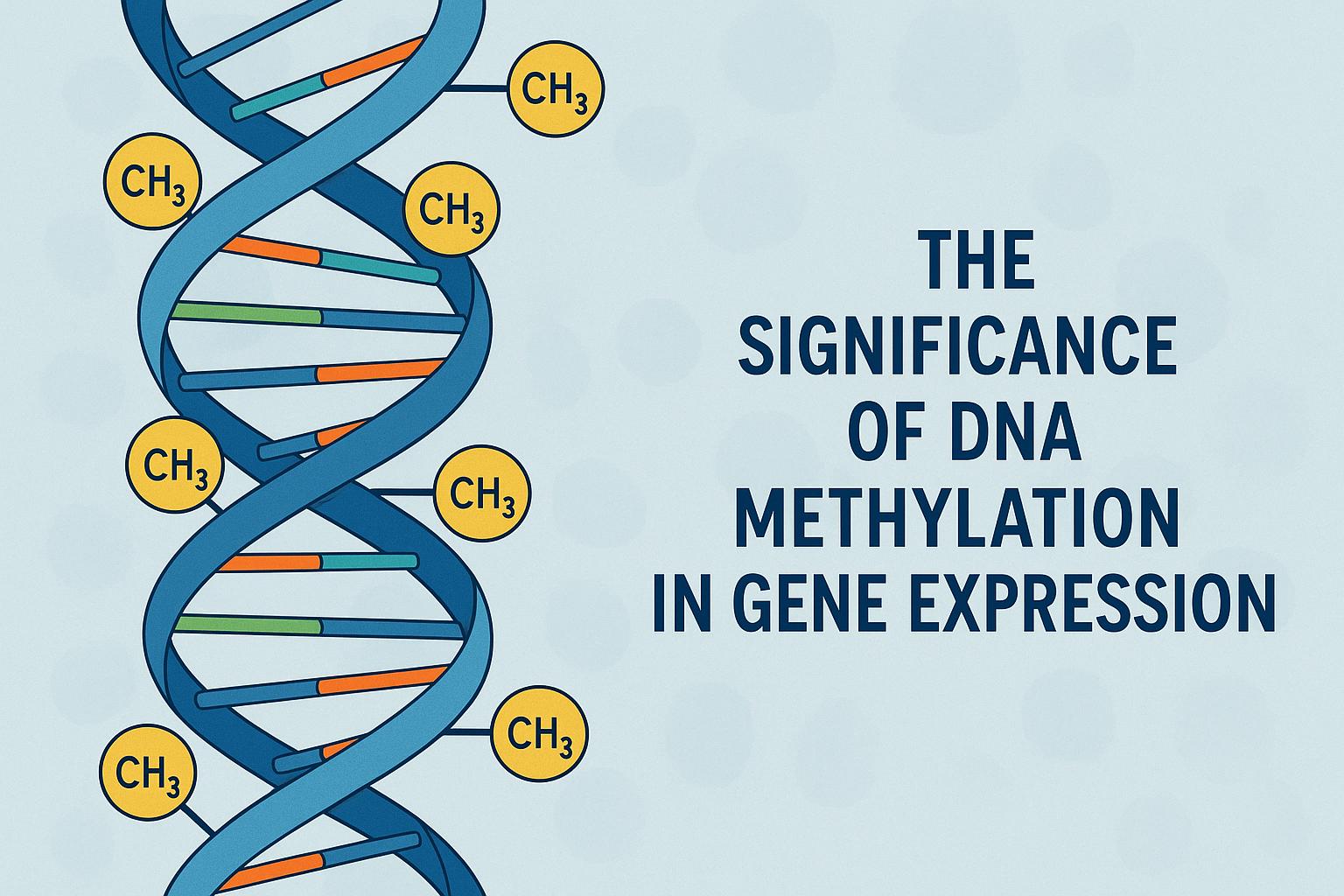 The significance of DNA methylation in gene expression.